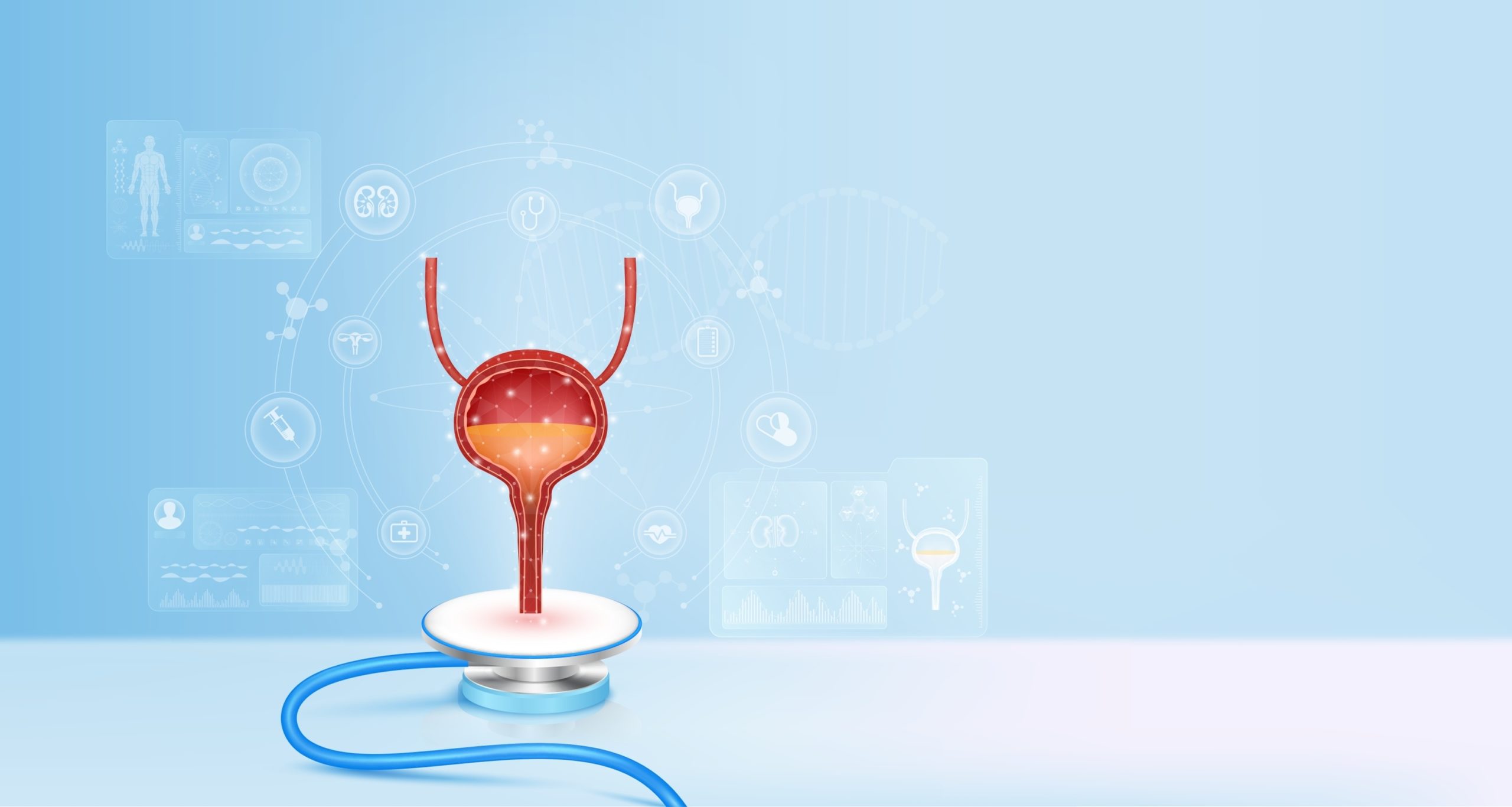 Human,Bladder,Float,Away,From,Stethoscope.,Medical,Icons,Image,Virtual